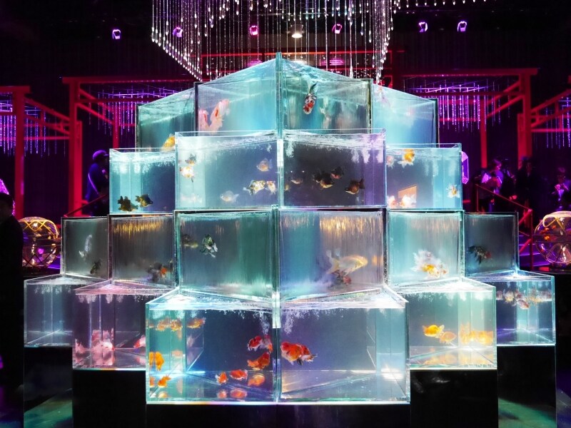 インフィニトリアム