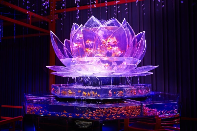 蓮の花をイメージしたロータスリウム