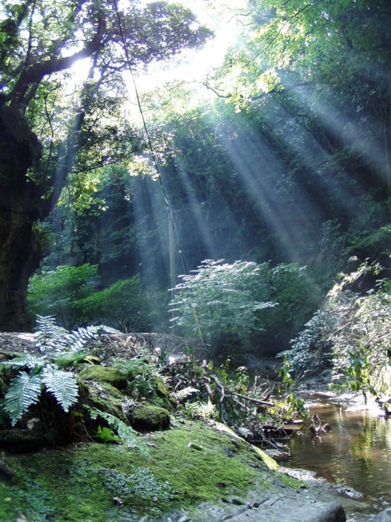 神秘的な切通の景観