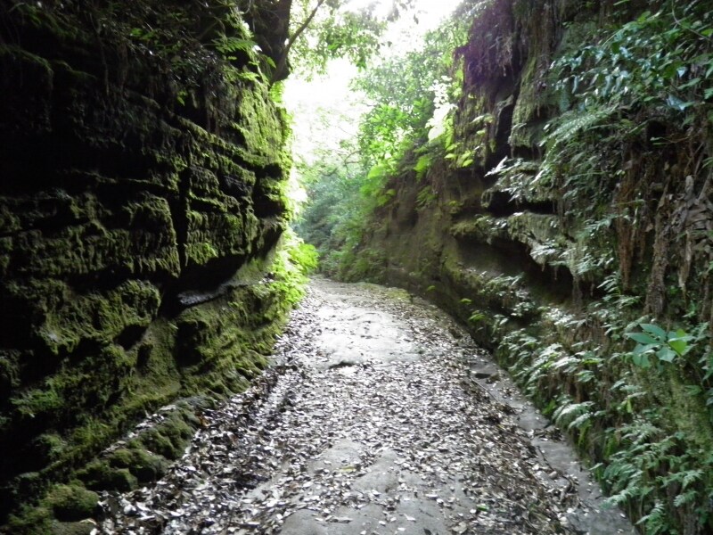 横浜市側の切通