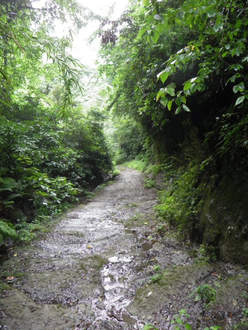朝夷奈切通の景観