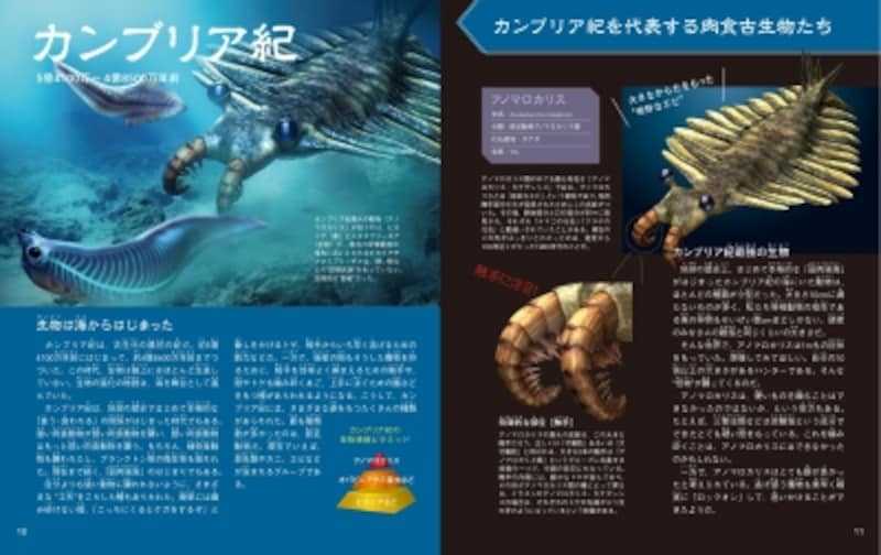 『肉食の恐竜・古生物図鑑』