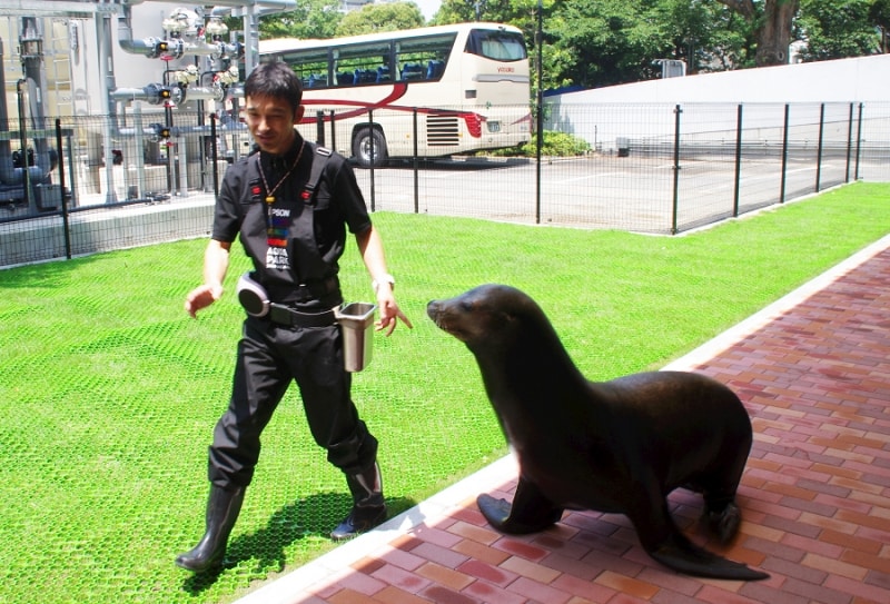 エプソン アクアパーク品川