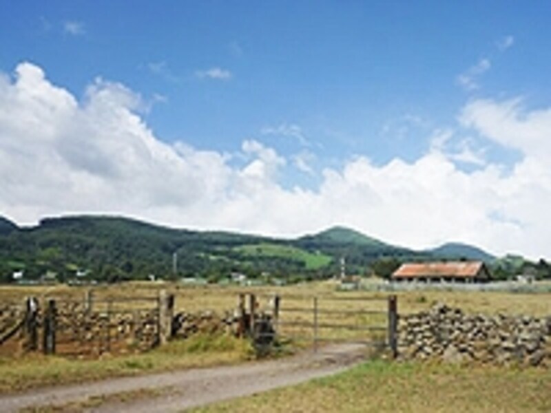 19世紀初めに造られ、個人が所有する牧場では全米一の広さというパーカー牧場