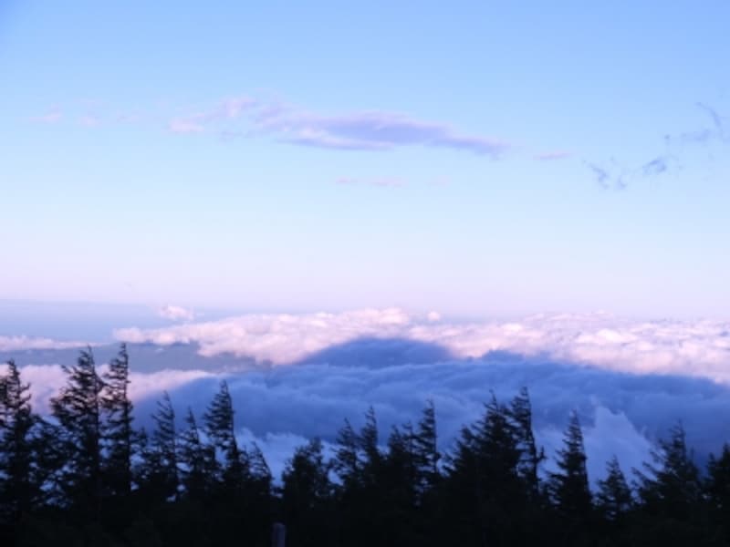 一面に広がる雲海の上に投影された「影富士」