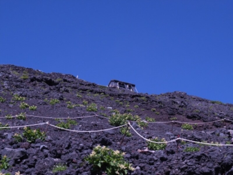 下から山小屋が見えるので、目標に！