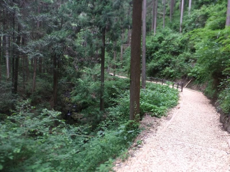 払沢の滝への遊歩道