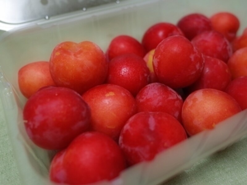 コストコは果物も要チェック