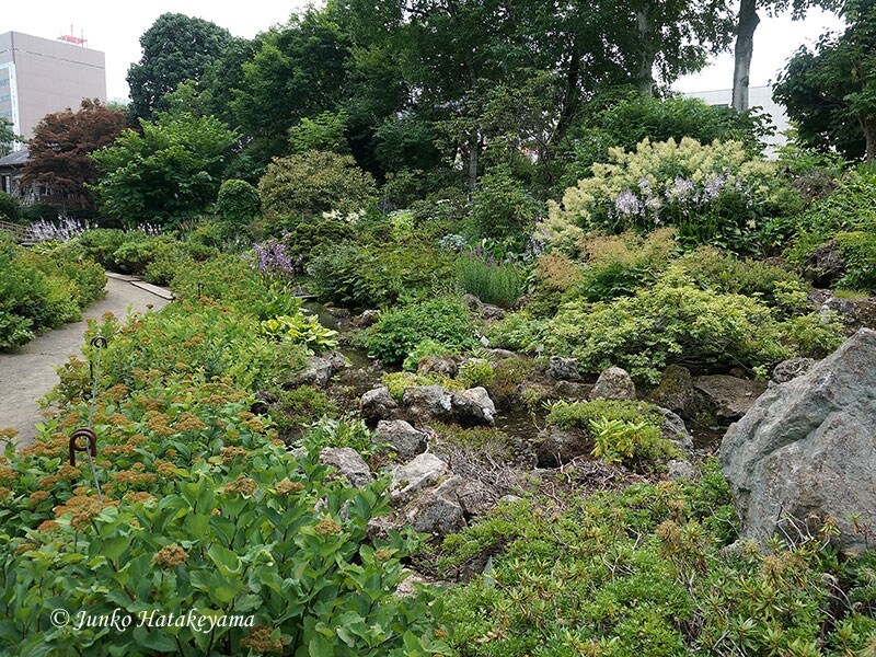 北海道大学植物園