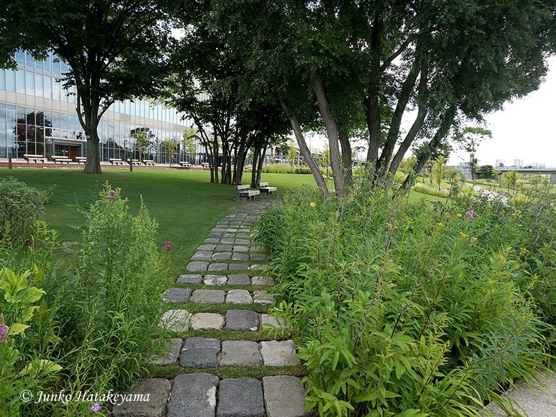 旭川駅前の風景