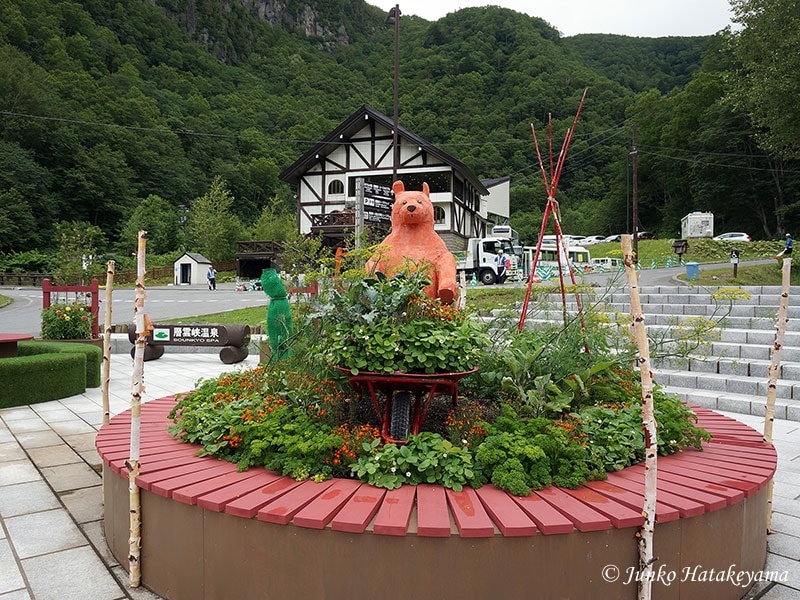 層雲峡の寄せ植え