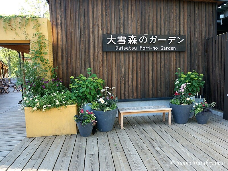 森のガーデン入り口