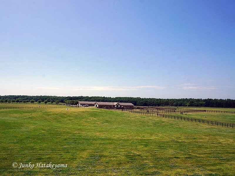 ノーザンホースパーク