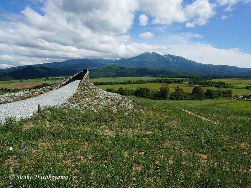ドレスガーデン カンテ