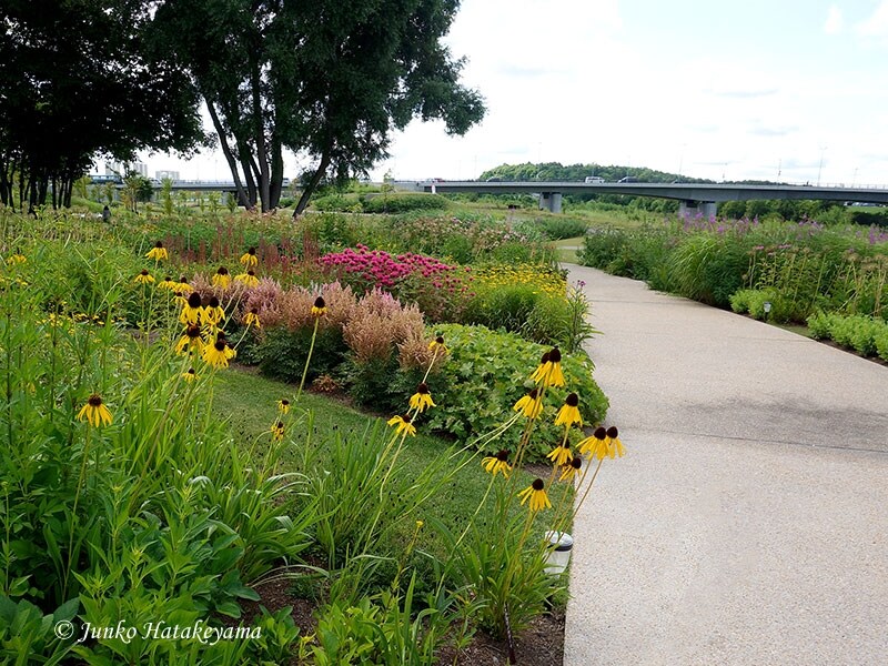 旭川駅前の風景