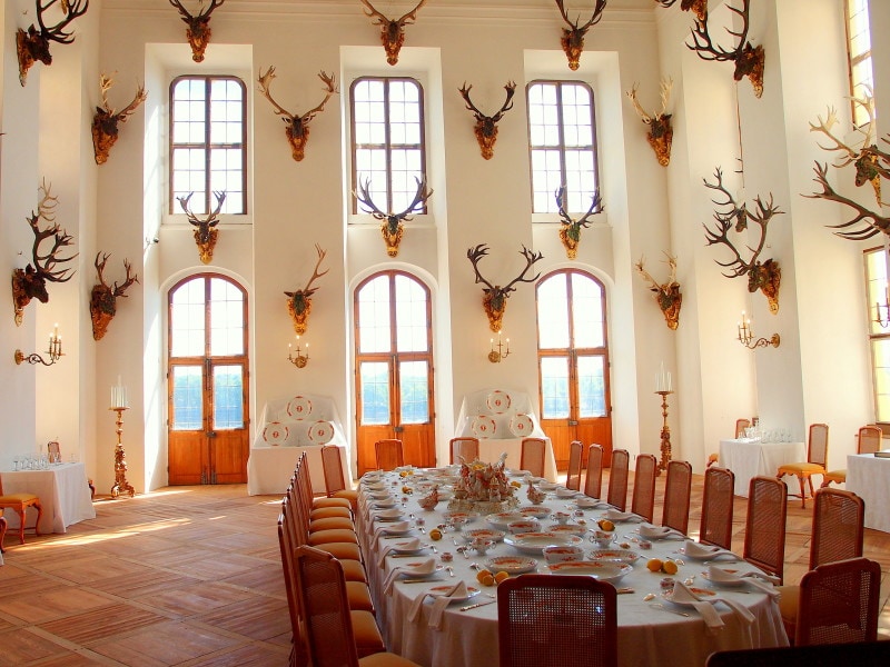 鹿の角コレクション