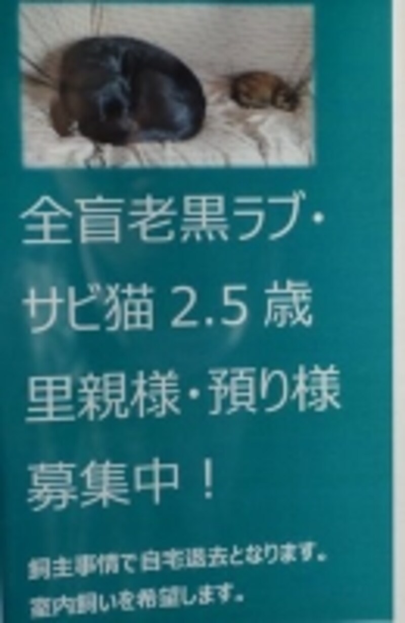 舞い主募集ポスター