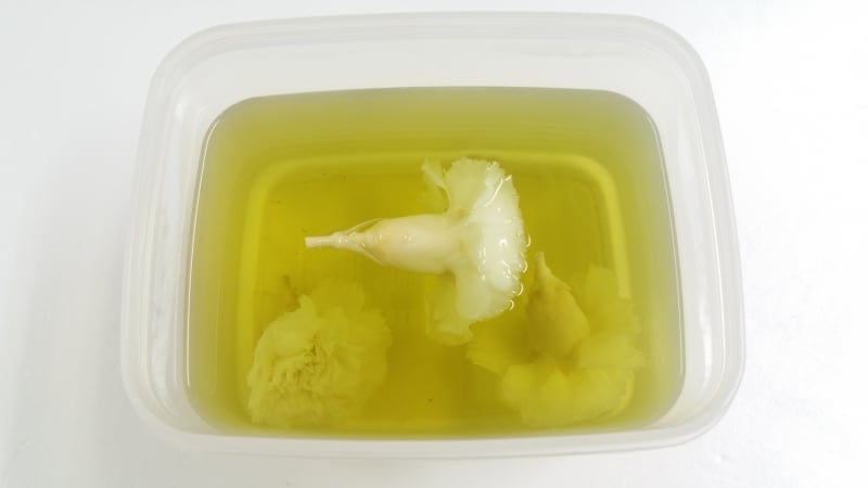 カーネーションプリザ