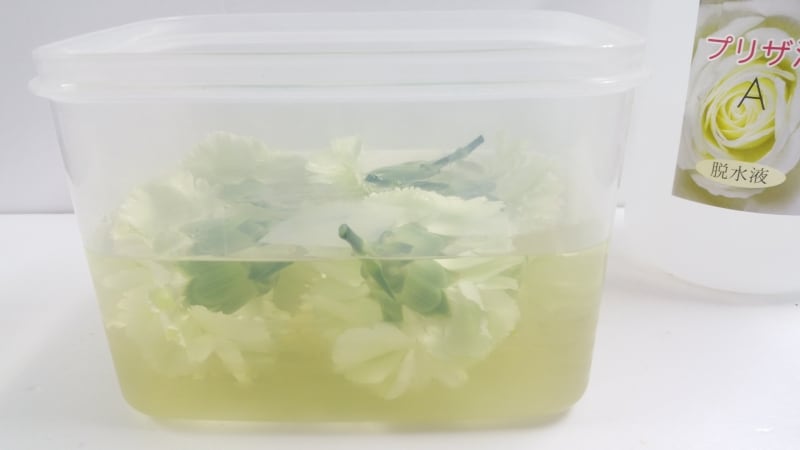 カーネーションプリザ