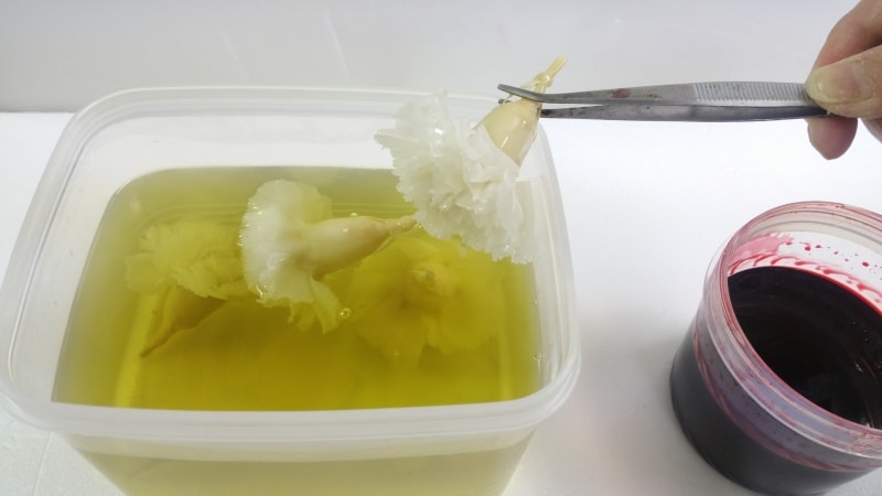 カーネーションプリザ