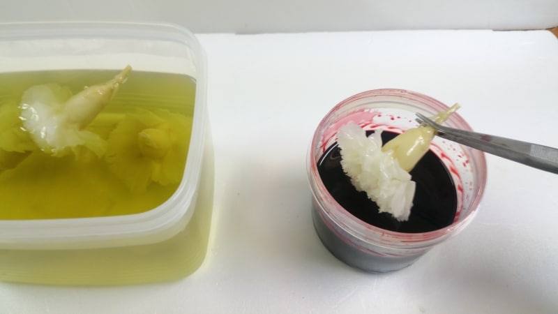 カーメーションプリザ