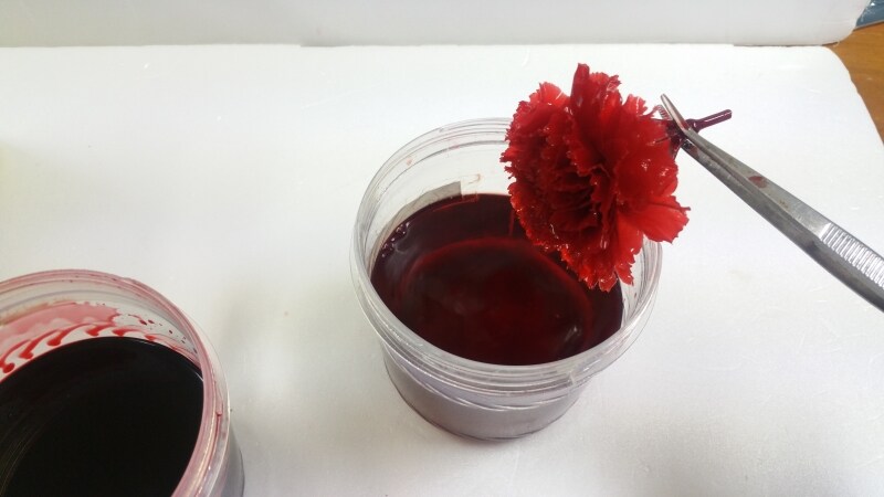 カーネーションプリザ