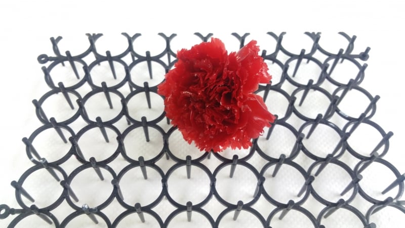 カーネーションプリザ