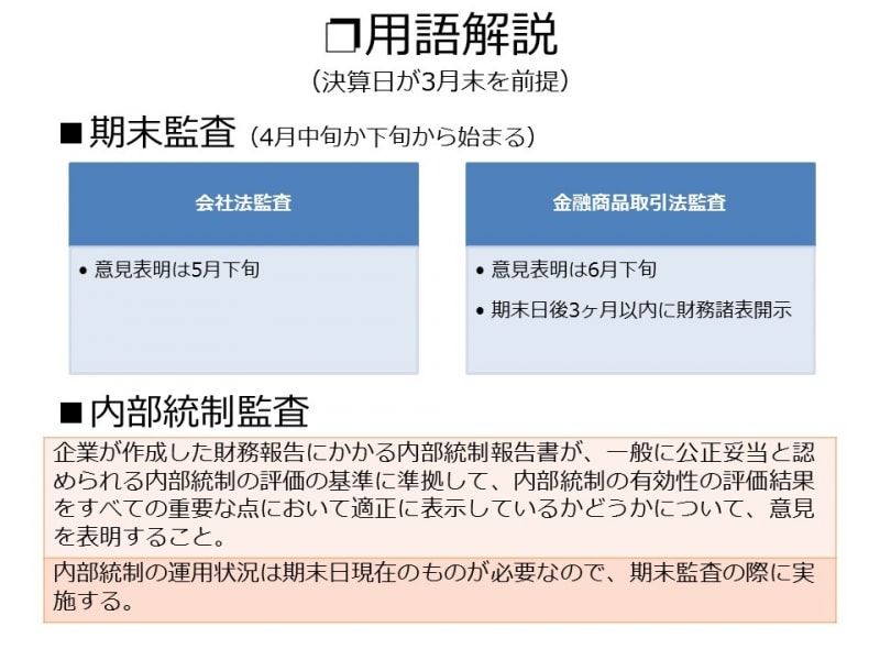 【図表1undefined監査・レビューの大まかな流れ】