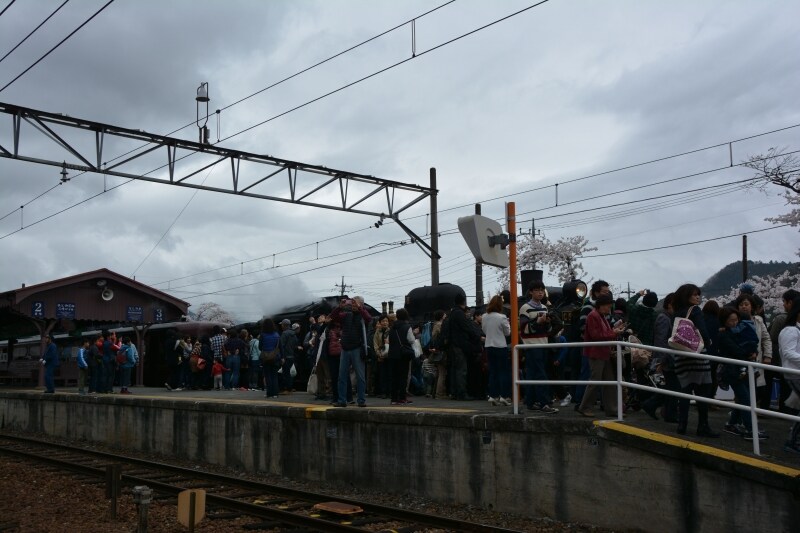 途中駅の長瀞で鉄道ファンに取り囲まれるSL