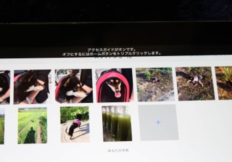 写真アプリだけが利用できる状態になりました。ホームボタンを押しても、無反応になります。