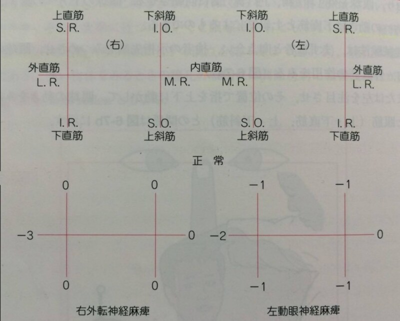 眼球運動