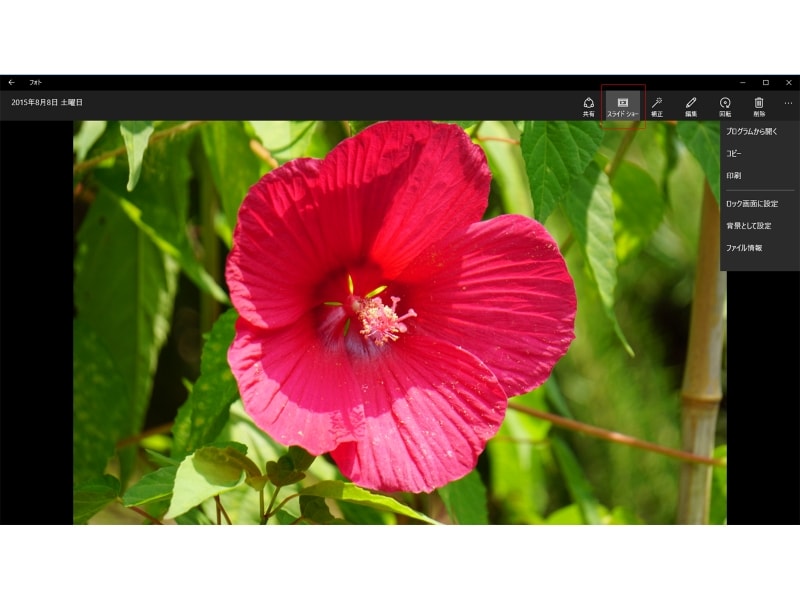 写真をクリックすると、写真1枚を大きく表示する画面に切り替わるので、「スライドショー」をクリックすると、フル画面でアルバムの写真を順に切り替えて表示します。