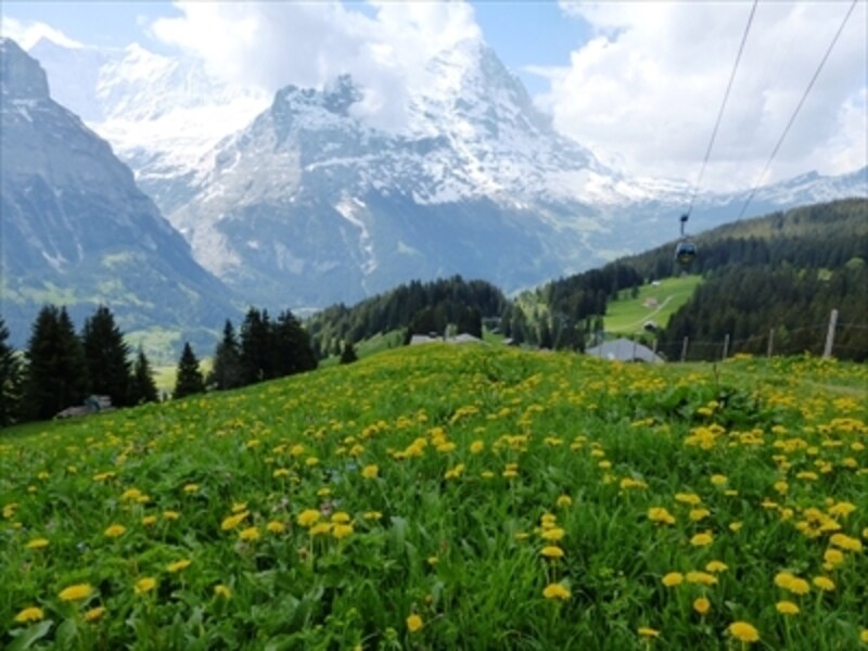 5月後半の山岳風景