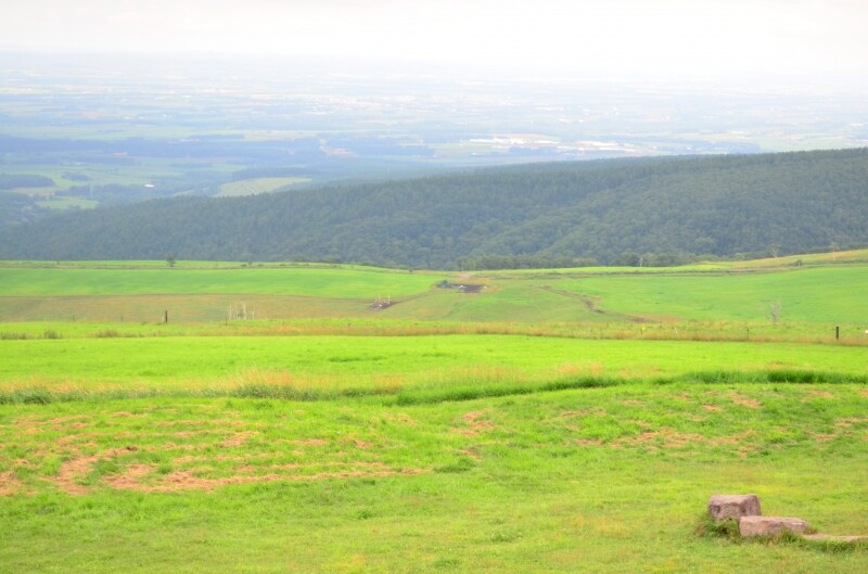 十勝平野を一望できるナイタイ高原牧場