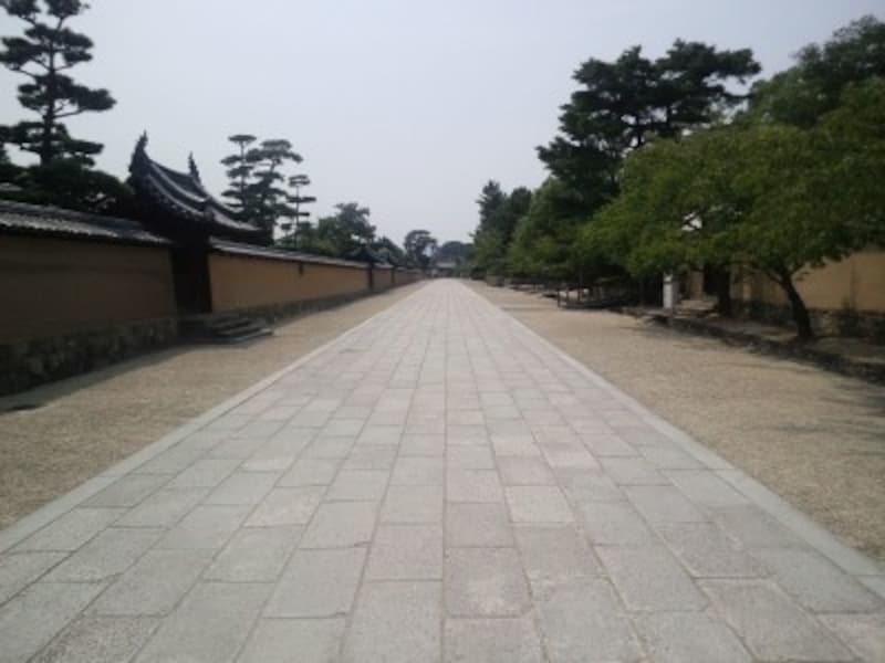 法隆寺の西大門と東大門を結ぶ道です。土塀に囲まれて、現代建築物が一切ないこの道は、飛鳥時代にタイムスリップしたようで本当に素晴らしいです。(撮影:宮本毅)