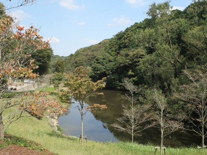 「上の池」。かつての田んぼのため池跡