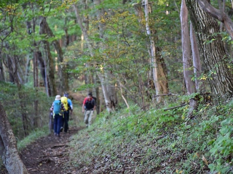 都内でも、奥多摩エリアには豊かな自然が残る
