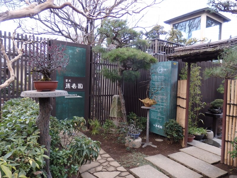盆栽町に点在する盆栽園「清香園」