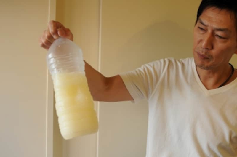 谷上さんと共に移動する「ホップ種」