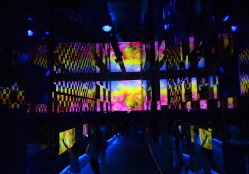 艶やかな蜷川実花ワールド すみだ水族館 クラゲ万華鏡 夜景 イルミネーション All About