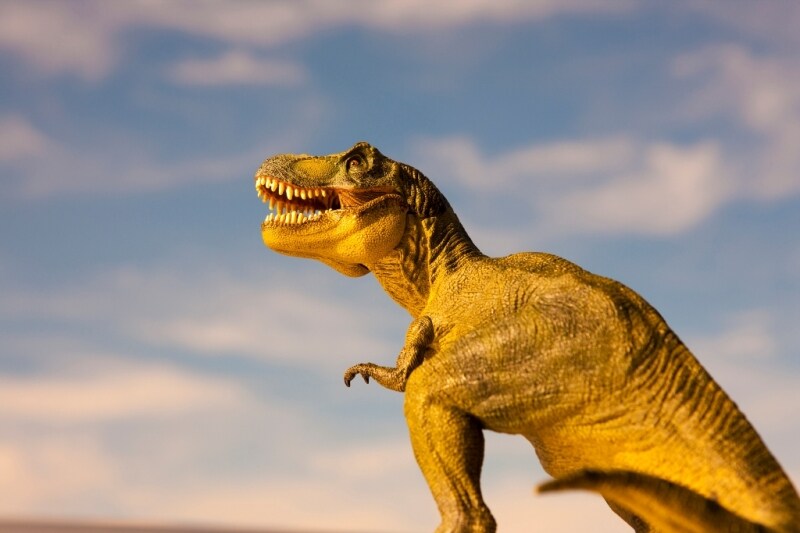 驚きの扱い/イメージ