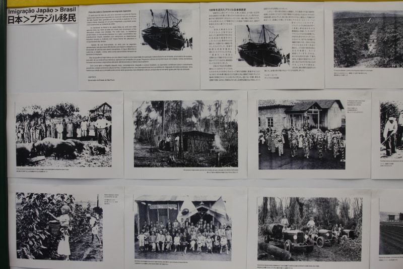 ブラジル移民展示2