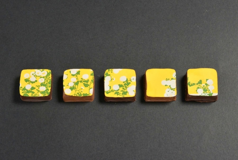 尾形光琳「菊図屏風」をモチーフにした珠玉の5粒