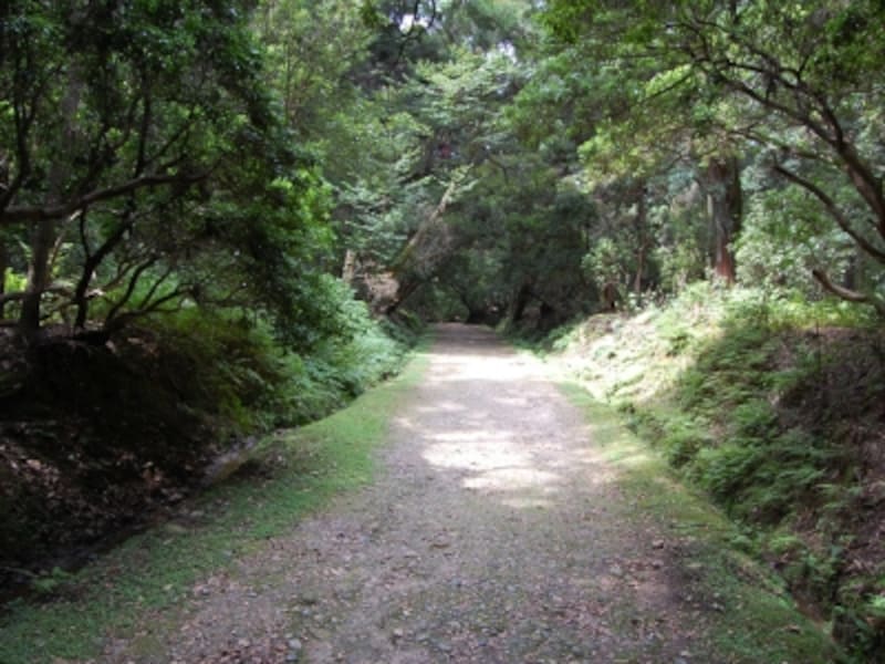 「ささやきの小径」。小径の先にある高畑町は、鎌倉時代には春日大社の神官たちが住み、明治から昭和初期にかけては志賀直哉をはじめ、多くの文人・芸術家が集まった。