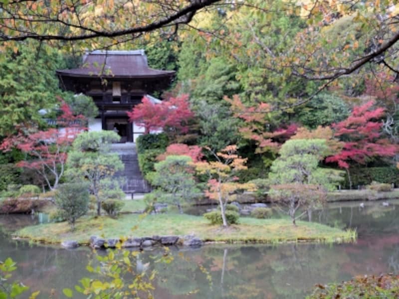 周囲の紅葉が色付きはじめた、円成寺の浄土式庭園(2014年10月下旬撮影)