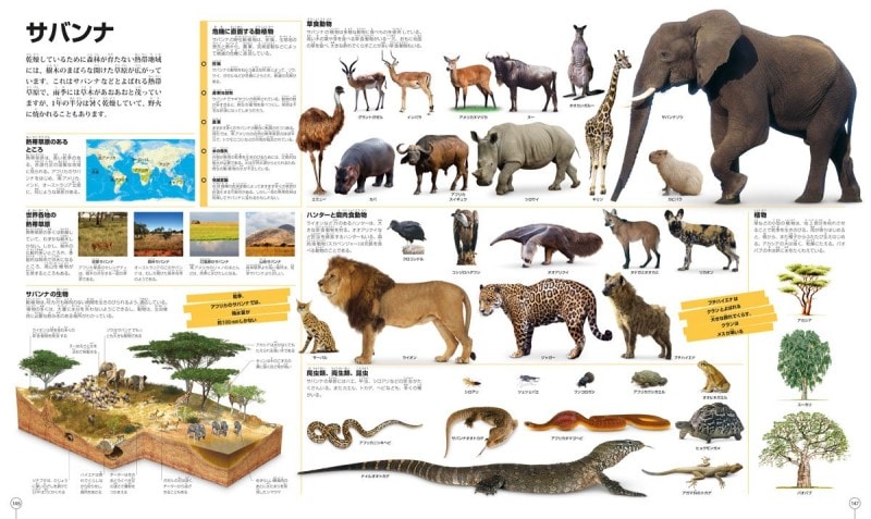小学生の図鑑ランキング第10位 『なんでもいっぱい大図鑑 ピクチャーペディア』