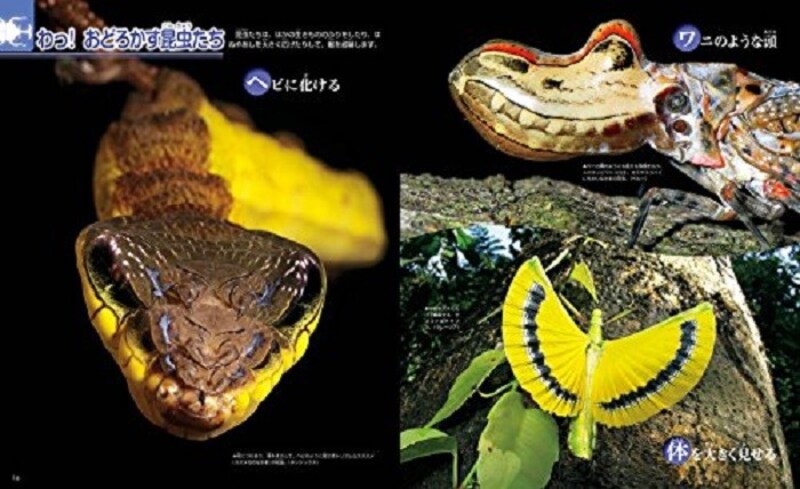 小学生の図鑑ランキング第8位『昆虫 新訂版』(講談社の動く図鑑MOVE)