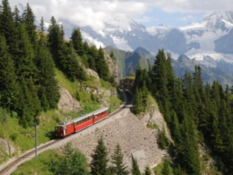 シーニゲプラッテ