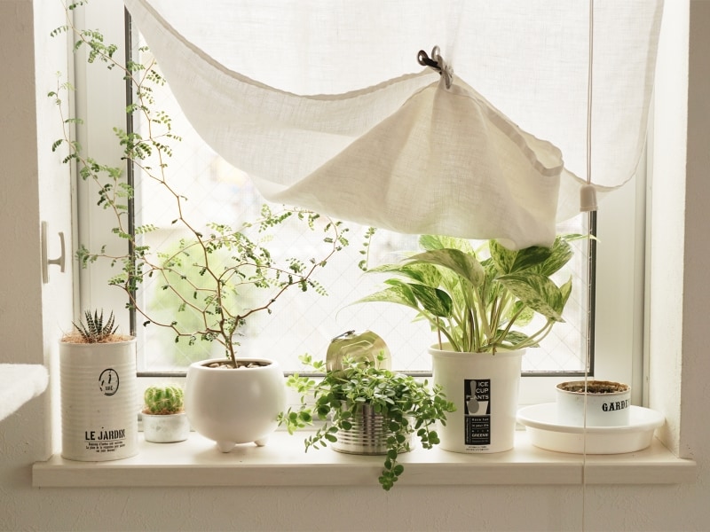 一人暮らしの部屋