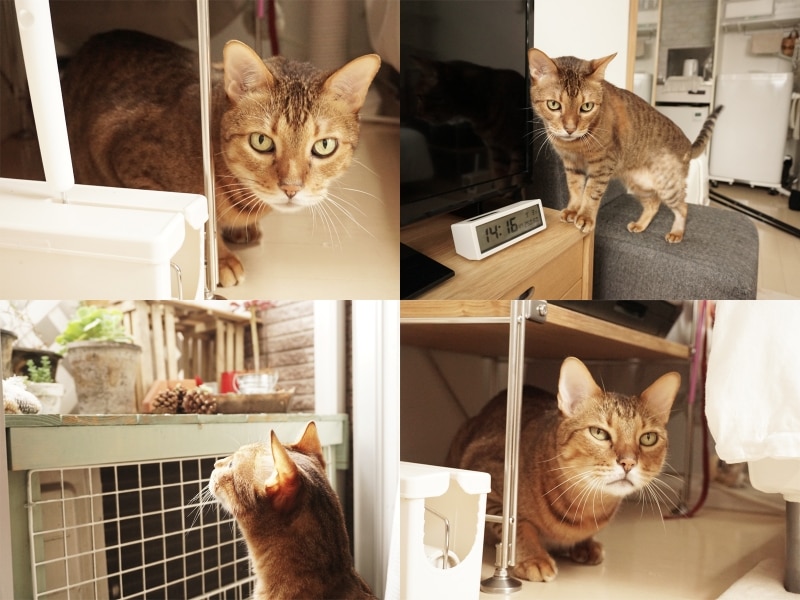 一人暮らしの部屋